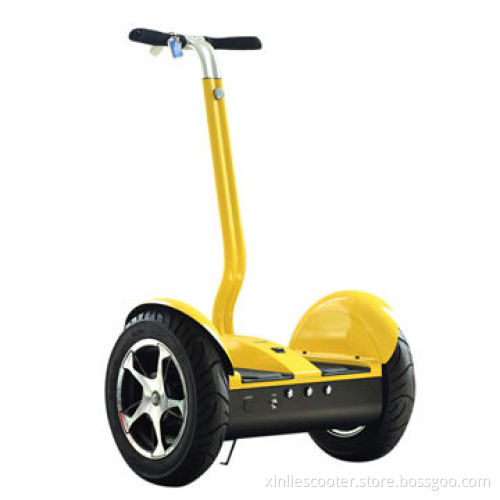 Made in China for Tourist Rent Electric Bike
